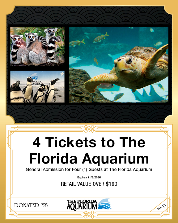 General Admission for Four