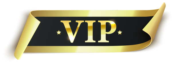 VIP Experience Add-On