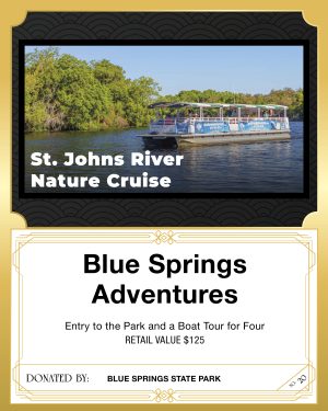 Blue Springs Adventures