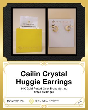 Cailin Crystal Huggie Earrings